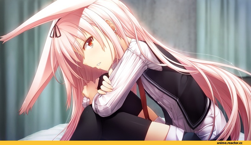 Gleam Garden no Shoujo, Luna the Moon Rider, Animal Ears, Usagimimi, Anime