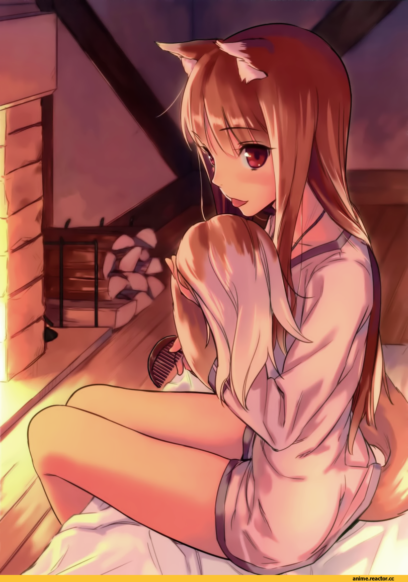 Spice and Wolf, Holo, Kawakami Rokkaku, Animal Ears, Inumimi, Anime