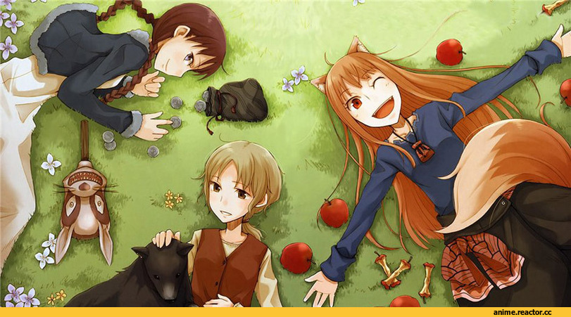 волчица и пряности, Холо., Inumimi, Animal Ears, Anime