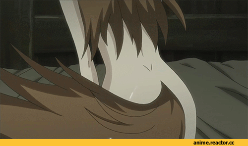 Spice and Wolf, Anime Гифки, Horo, Kemonomimi, Lawrence, Inumimi, Animal Ears, Anime