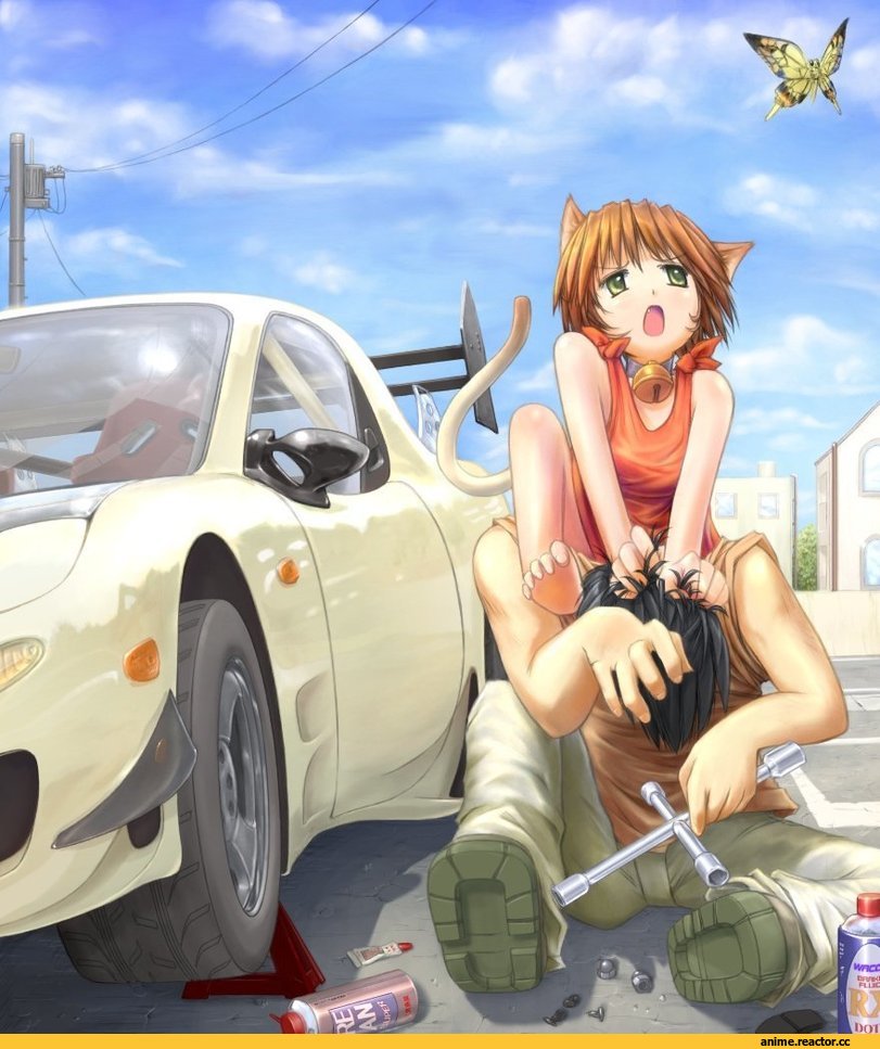 Неко, Anime Original, Animal Ears, Anime