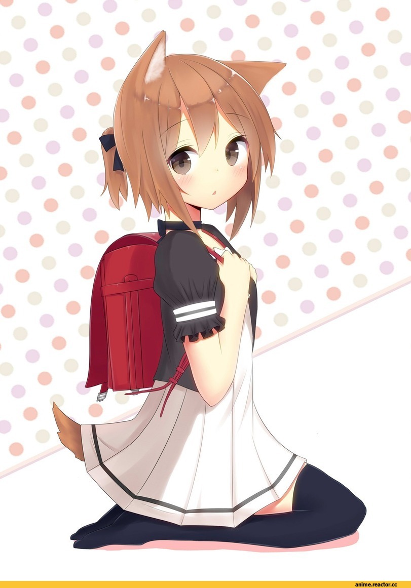 Inumimi, девушки с ушками, Anime