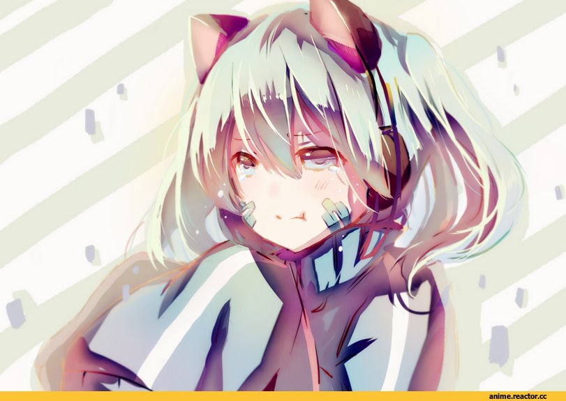 Animal Ears, nekomimi, Anime