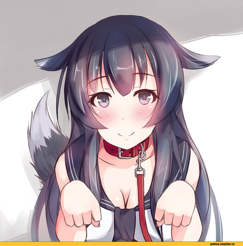 Animal Ears, Agano, Kantai Collection, Shuuichi, Inumimi, Anime
