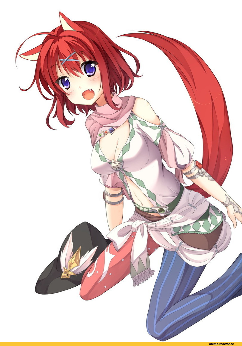 Animal Ears, Inumimi, Masaki Gaillard, Amairo Islenauts, Anime