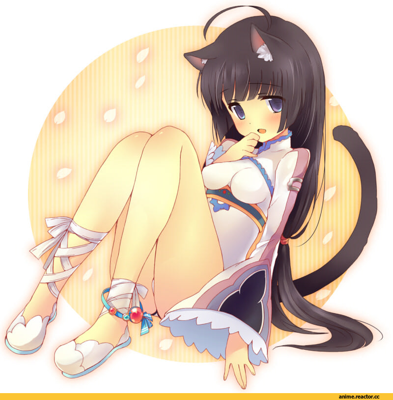 Animal Ears, Tales of (series), kohak hearts, Неко, Anime