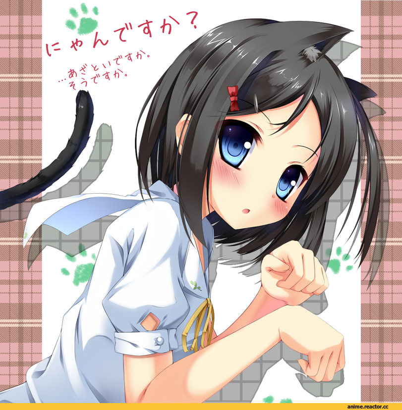 Animal Ears, HenNeko, Tsutsukakushi Tsukiko, Неко, Anime