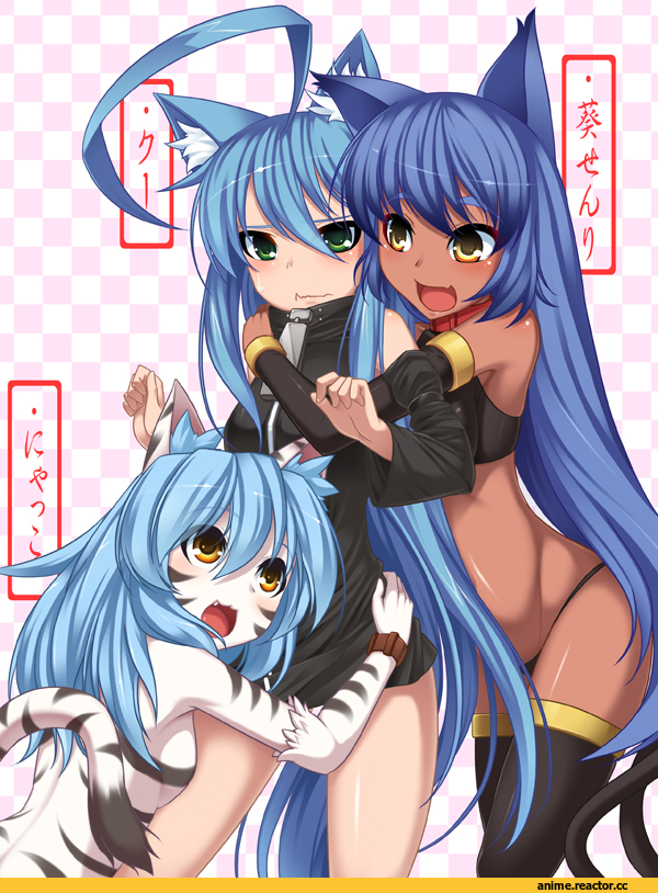 Anime Original, neko, Animal Ears, Anime