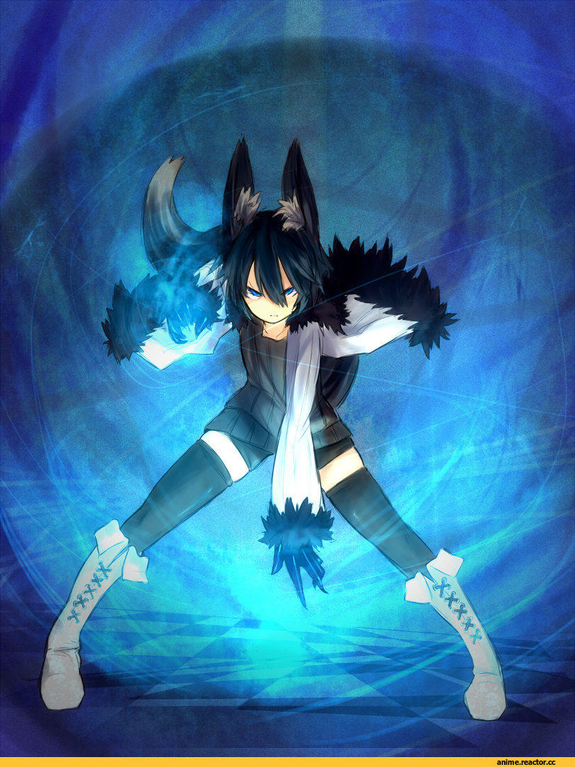 Kitsune, Animal Ears, Shirogane Usagi, Anime