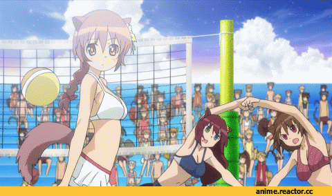 Anime Гифки, Dog Days, Animal Ears, Inumimi, Неко, Anime
