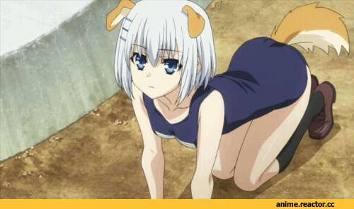 Anime Гифки, Date a Live OVA, Animal Ears, Date a Live, Anime