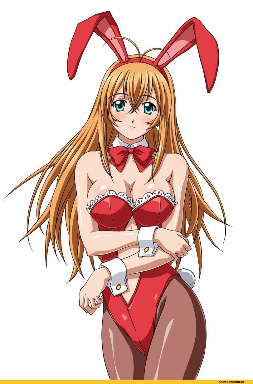 Ikkitousen, sonsaku hakufu, Usagimimi, Animal Ears, Anime