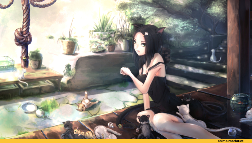 neko, Animal Ears, Anime