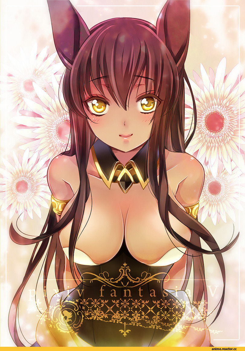Pixiv Fantasia, Anime Original, Animal Ears, Anime