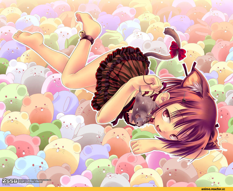 Anime Original, Неко, Animal Ears, Anime