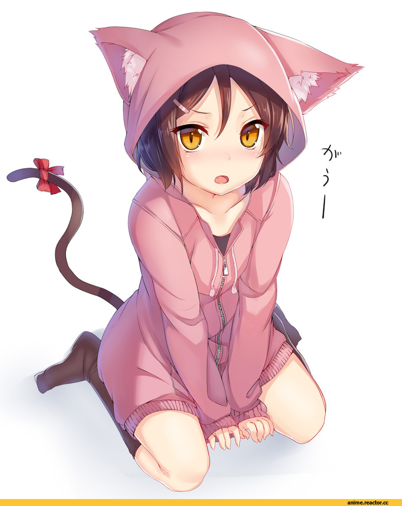Anime Original, Animal Ears, nekomimi, Anime