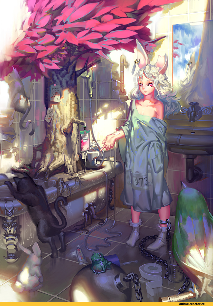 Anime Original, Animal Ears, Anime