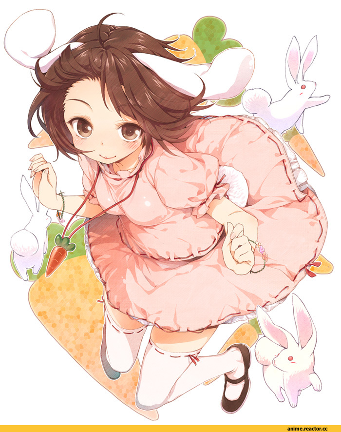 Inaba Tewi, Touhou Project, Buriki, Animal Ears, Usagimimi, Anime