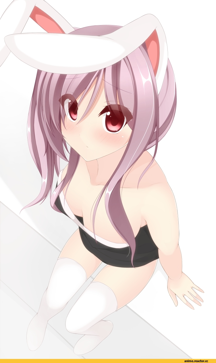 Touhou Project, Reisen Udongein Inaba, chimunge, Usagimimi, Animal Ears, Anime
