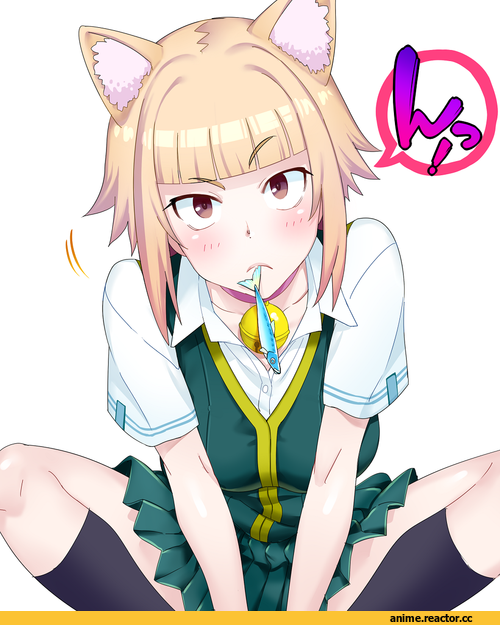 Witch Craft Works, tanpopo kuraishi, Неко, Animal Ears, Anime