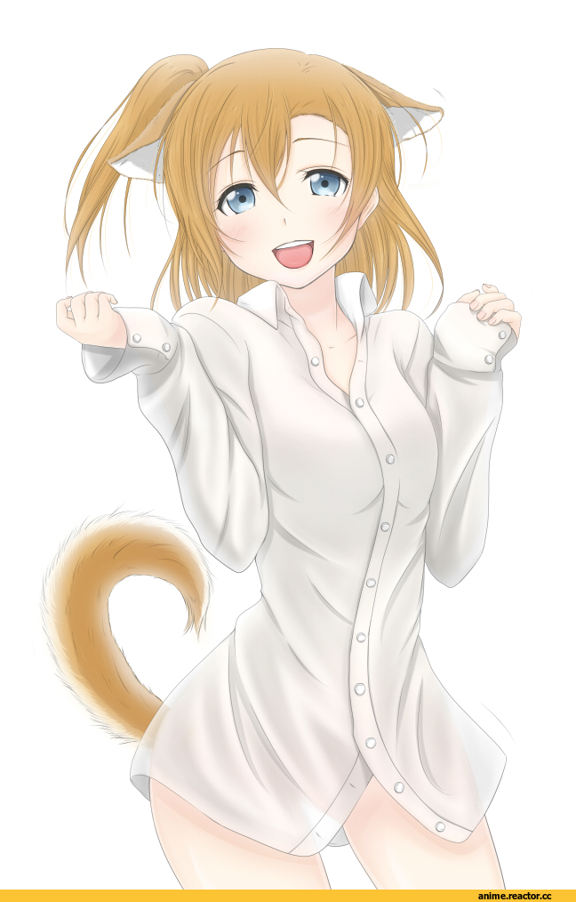 Love Live!, Kousaka Honoka, Inumimi, Animal Ears, Anime
