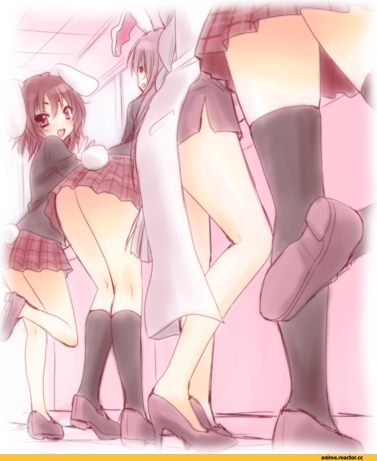 Inaba Tewi, Touhou Project, Reisen Udongein Inaba, Yagokoro Eirin, saki chisuzu, no panties?, Usagimimi, Animal Ears, Anime
