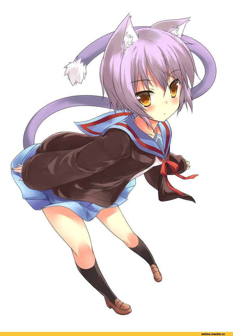 Animal Ears, Nagato Yuki, Меланхолия Харухи Судзумии, ut pictura poesis, neko, Anime