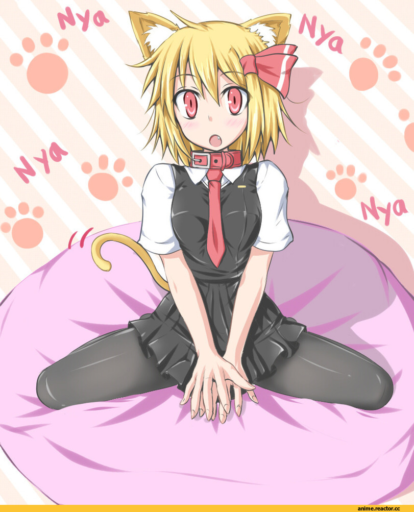Touhou Project, Rumia, neko, Animal Ears, Anime