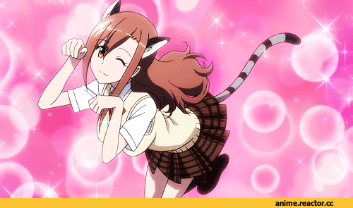 Seitokai Yakuindomo, neko, Animal Ears, amakusa shino, Anime Гифки, aria shichijou, под катом еще, Anime