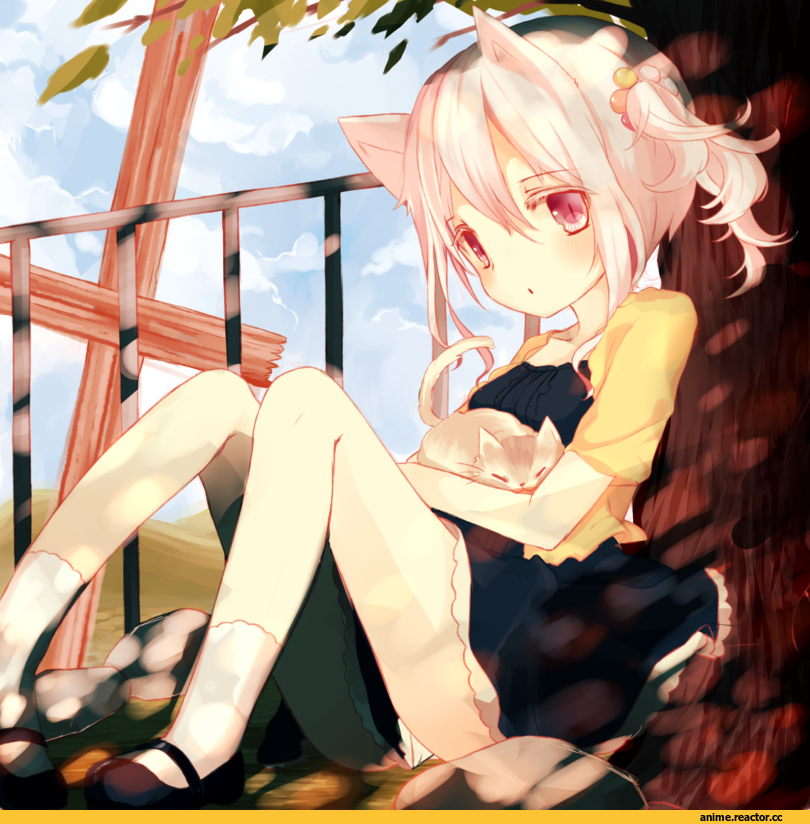 hiiragi mashiro, Anime Original, Animal Ears, nekomimi, Anime