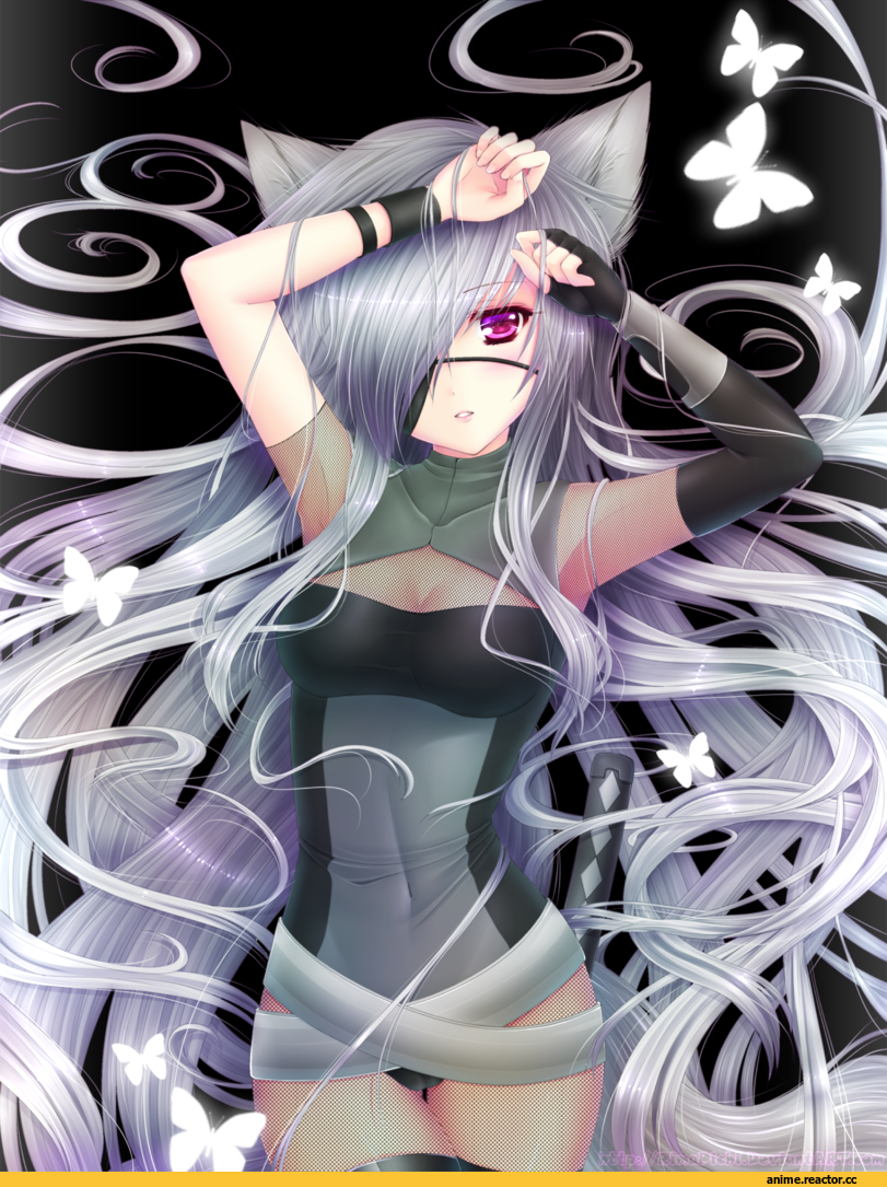 Неко, Animal Ears, Anime
