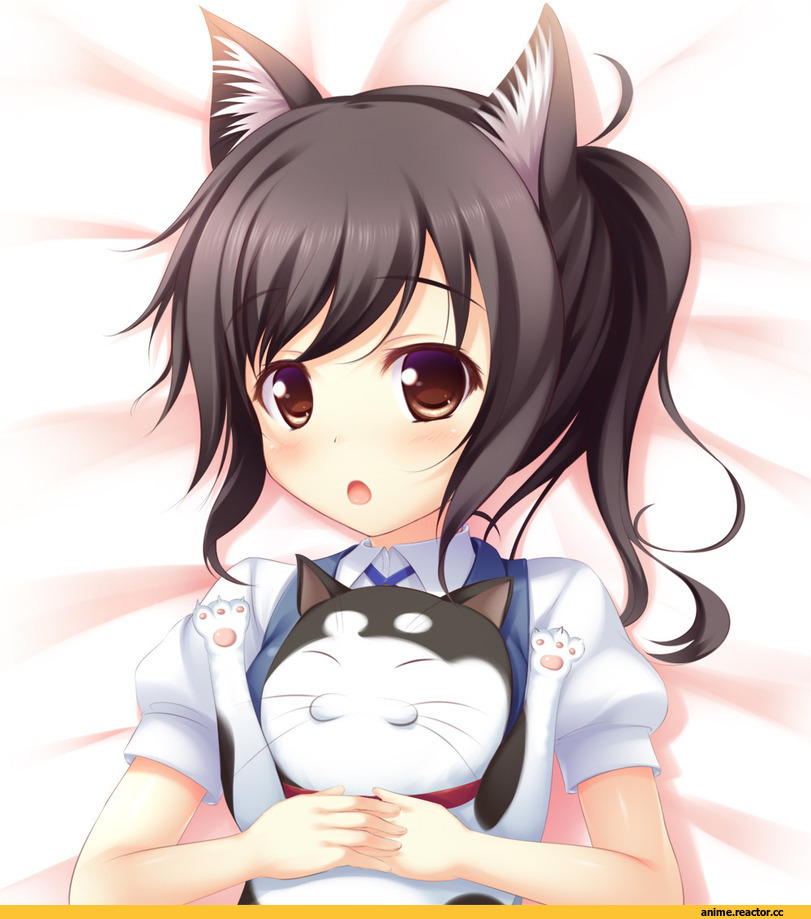 Tari Tari, sakai wakana, Неко, Animal Ears, Anime