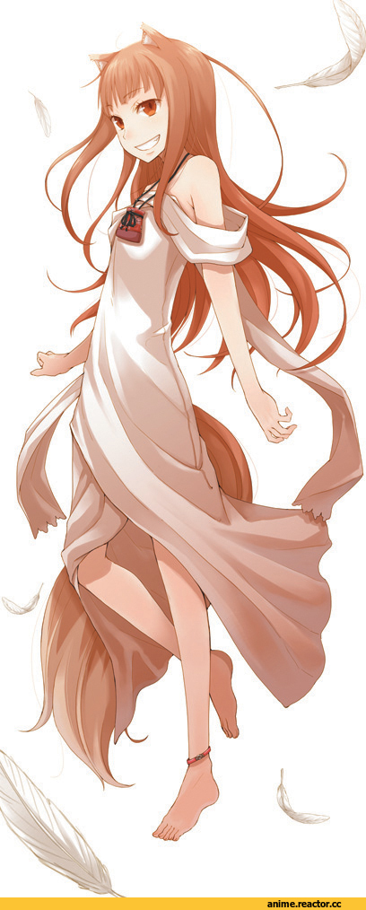 Holo, Spice and Wolf, Inumimi, Animal Ears, ayakura juu, Anime