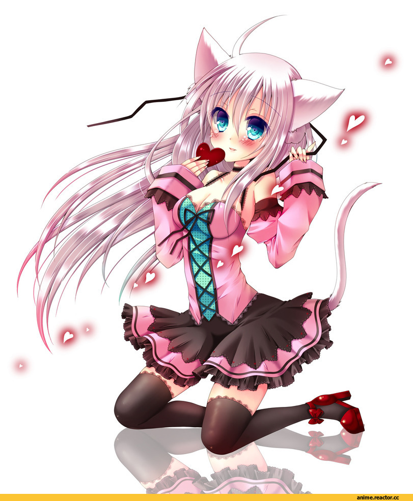 Anime Original, neko, Animal Ears, Anime