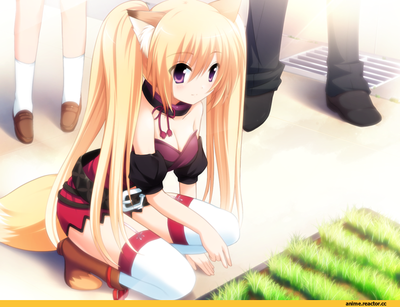 lovekami, toyokusa inari, Animal Ears, Kitsune, Anime