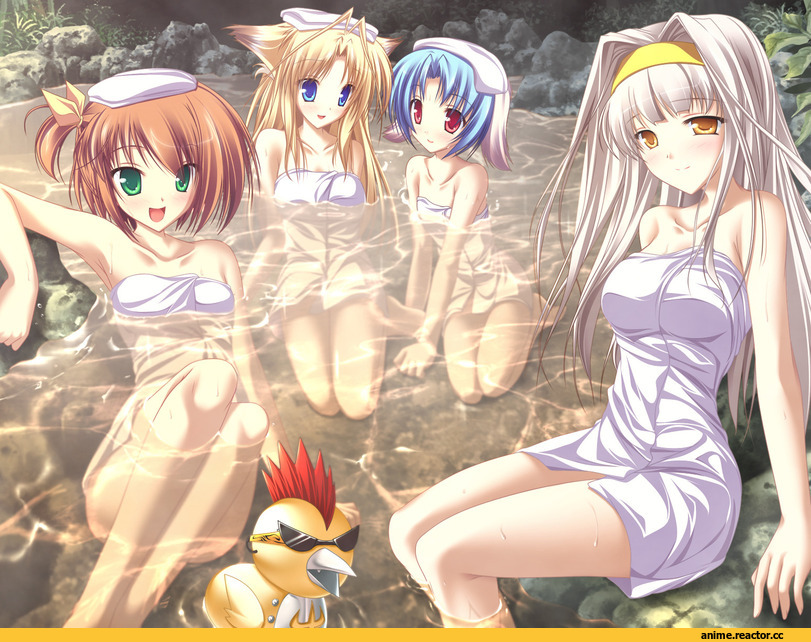 inakoi, kamishiro mutsuki, haruhi sarasa, midou chihiro, kuujou hina, Kitsune, Animal Ears, Неко, Anime