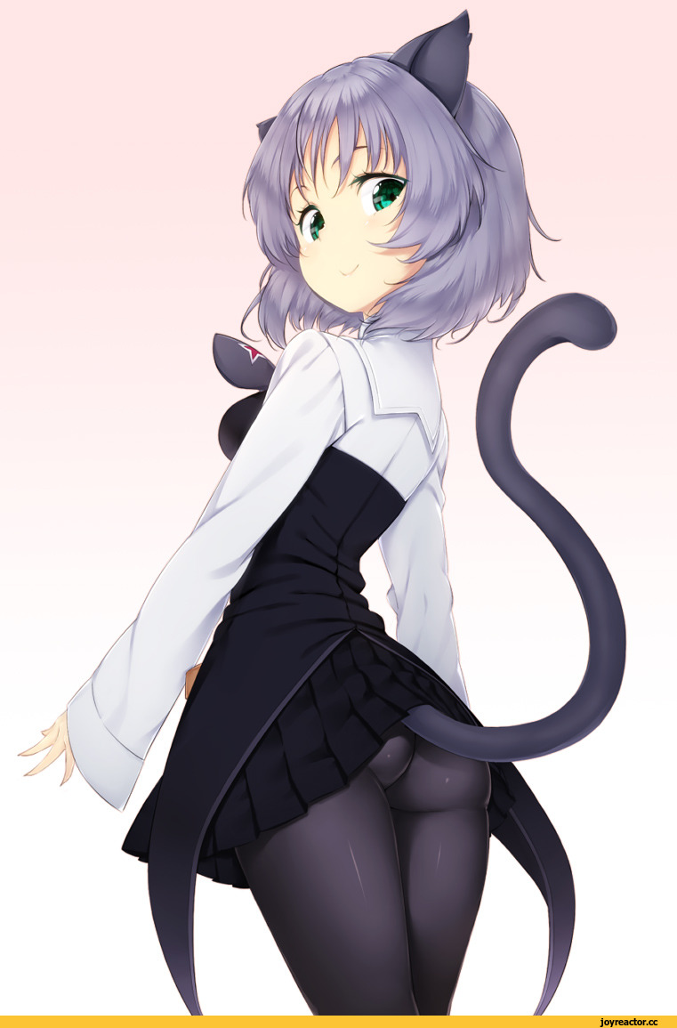 neko, Animal Ears, zizi (zz22), sanya v litvyak, Strike Witches, Strike Witches (Anime), Anime