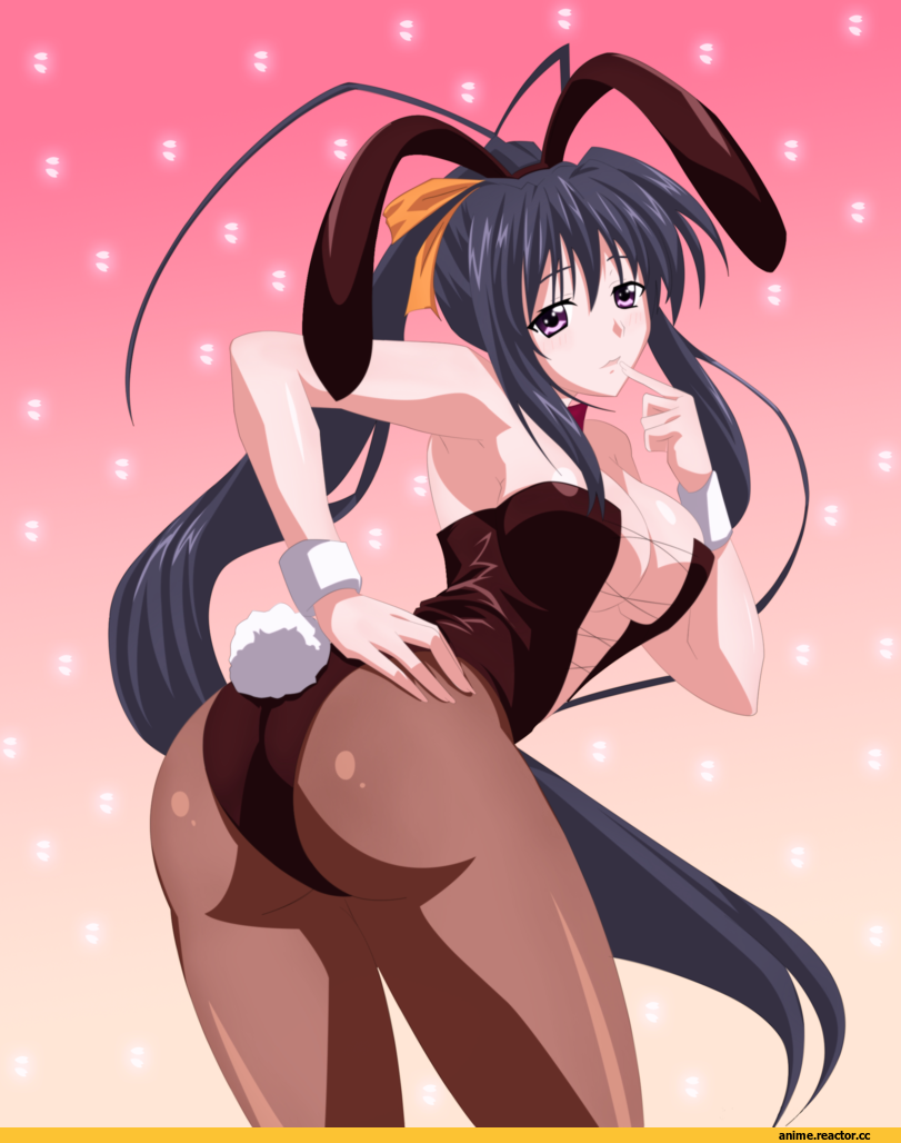 Highschool DxD, himejima akeno, Usagimimi, Animal Ears, Anime
