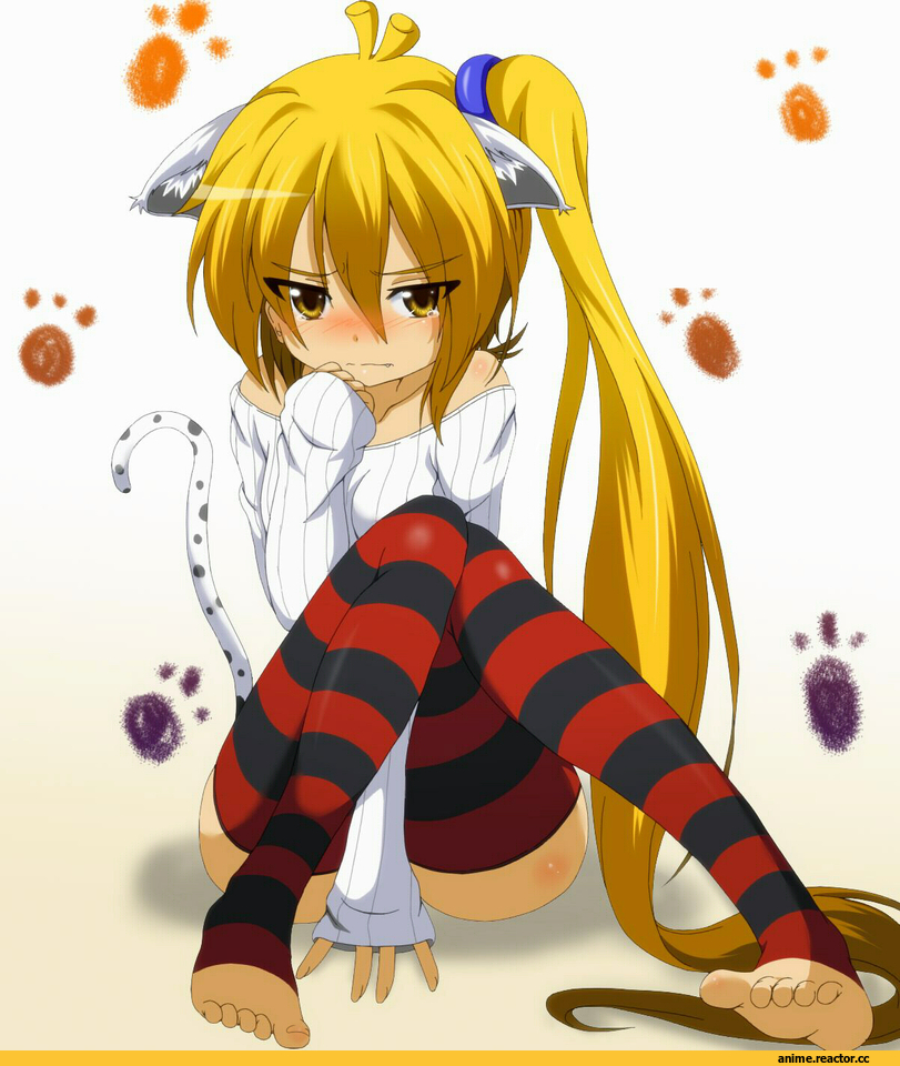 Vocaloid, Akita Neru, Неко, Animal Ears, Anime
