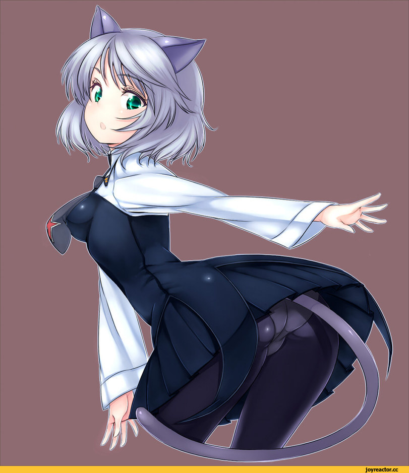 sanya v litvyak, Strike Witches, neko, Animal Ears, zizi (zz22), Strike Witches (Anime), Anime