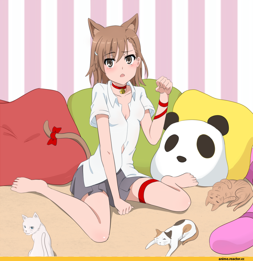 ToAru, Misaka Mikoto, neko, Animal Ears, Anime