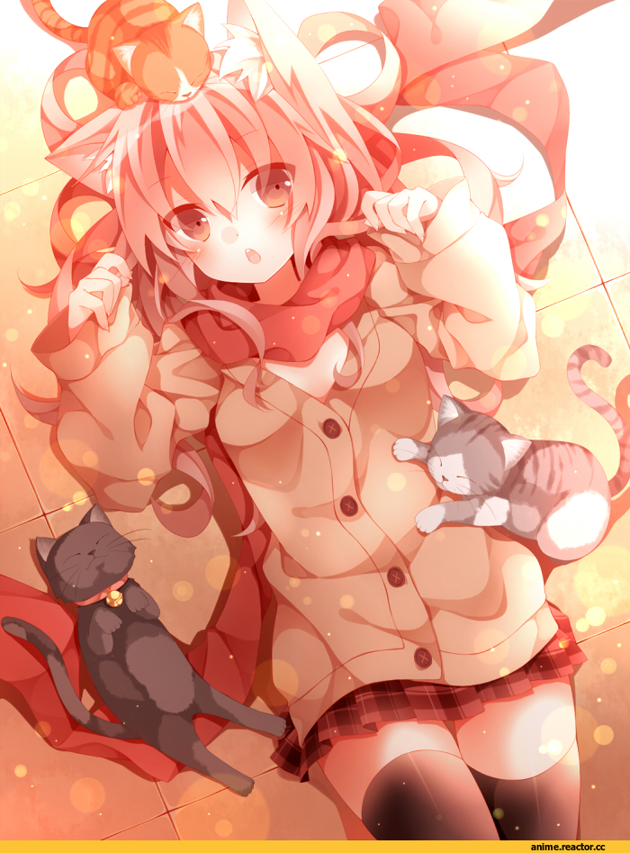 Anime Original, neko, Animal Ears, Anime