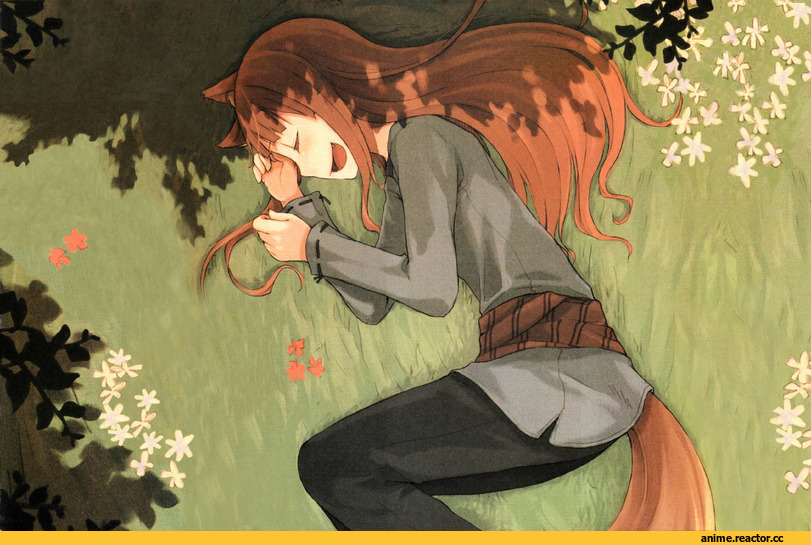 Spice and Wolf, Inumimi, Animal Ears, Horo, Кликабельно, Anime