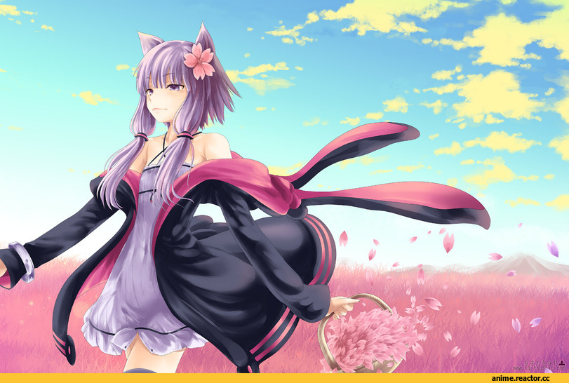 Yuzuki Yukari, Vocaloid, neko, Animal Ears, Anime