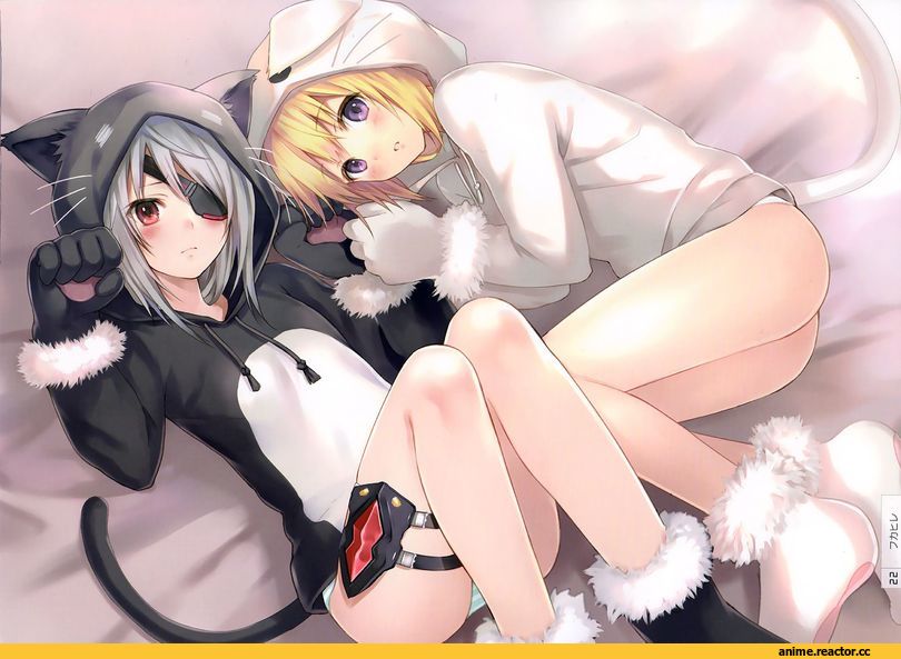 Infinite Stratos, charlotte dunois, Laura Bodewig, Animal Ears, nekomimi, Anime