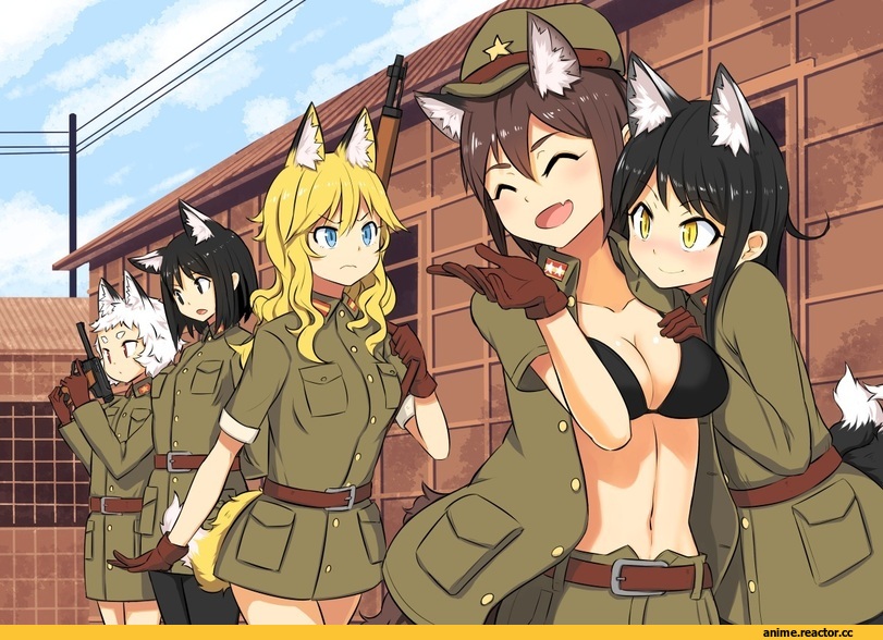 neko, Animal Ears, Kitsune, Inumimi, Anime