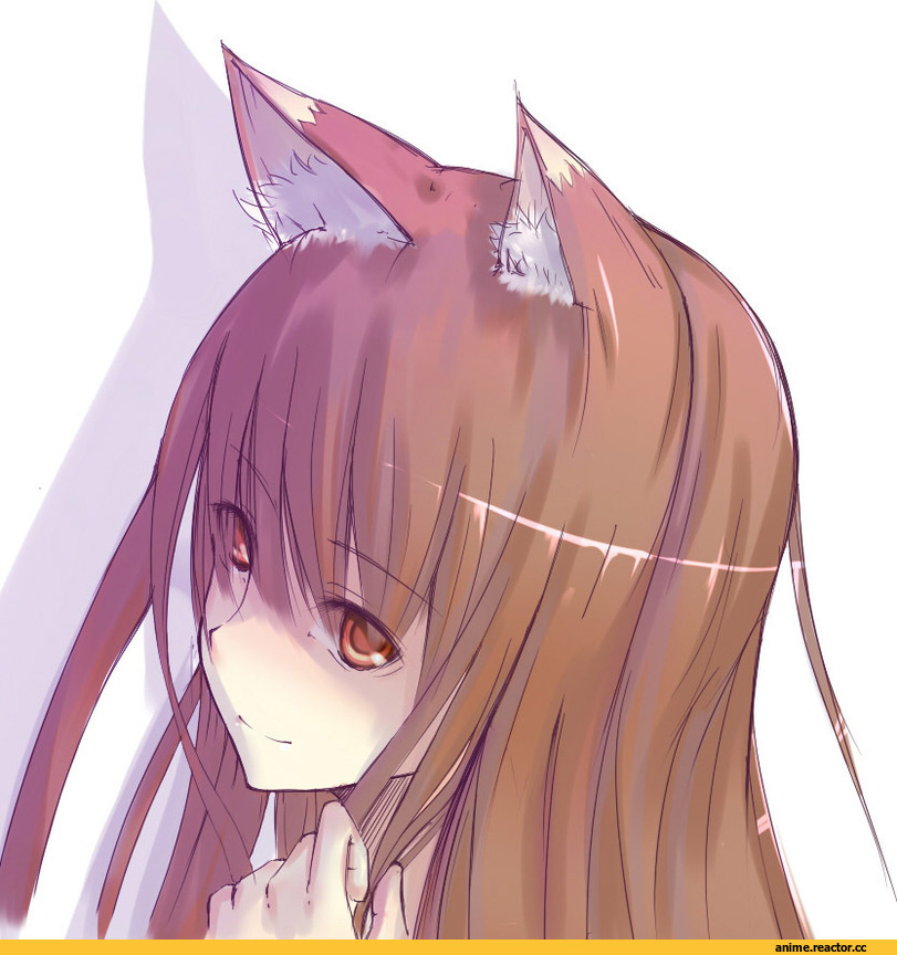 Spice and Wolf, Inumimi, Animal Ears, Holo, Anime