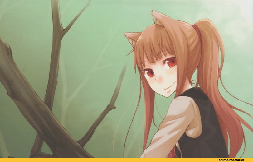 Spice and Wolf, Inumimi, Animal Ears, Хоро, Anime