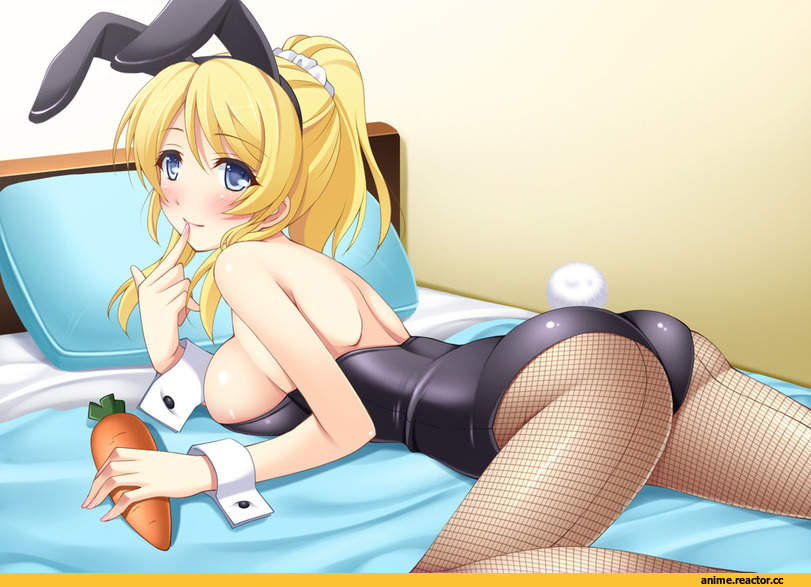 Love Live!, Ayase Eli, Usagimimi, Animal Ears, Anime