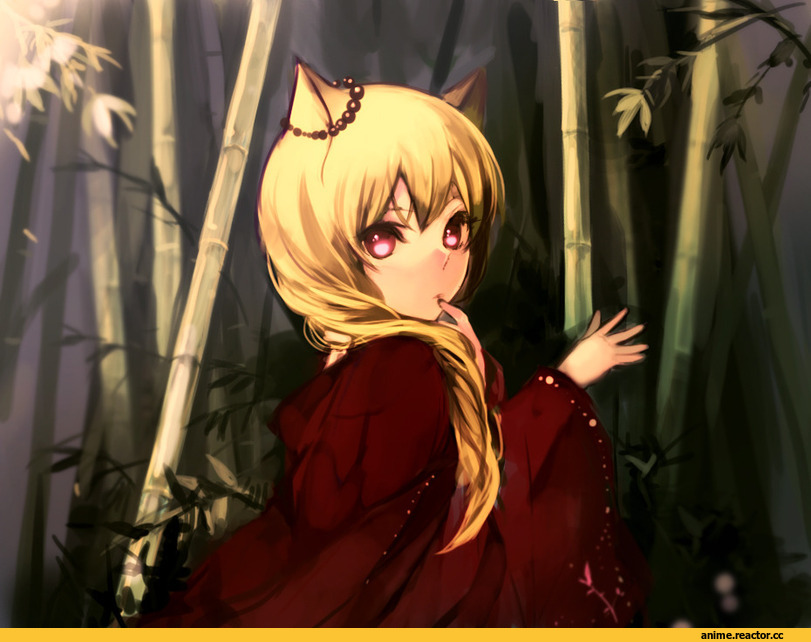Anime Original, Lp (Hamasa00), Animal Ears, Anime